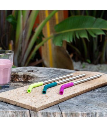Pack de 4 Pajitas de Acero Inoxidable - Multicolor