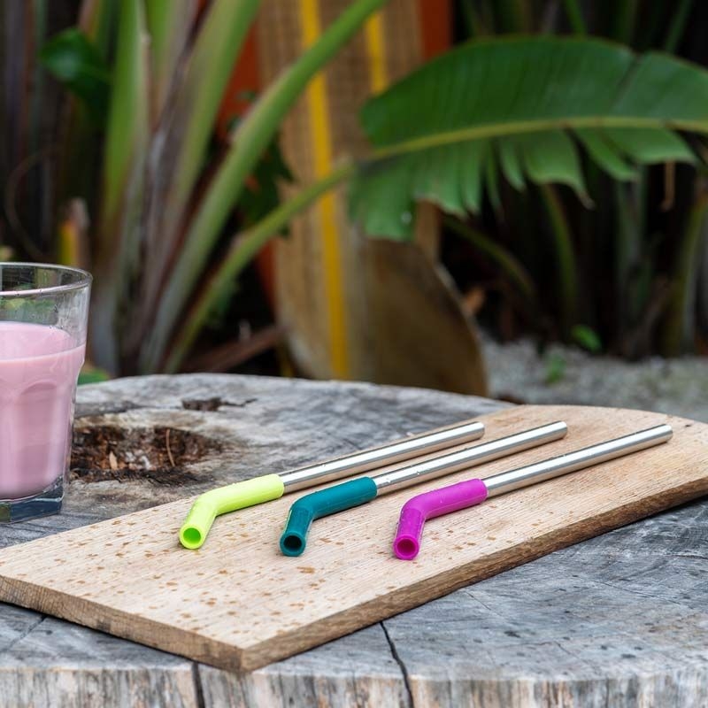 Pack de 4 Pajitas de Acero Inoxidable - Multicolor